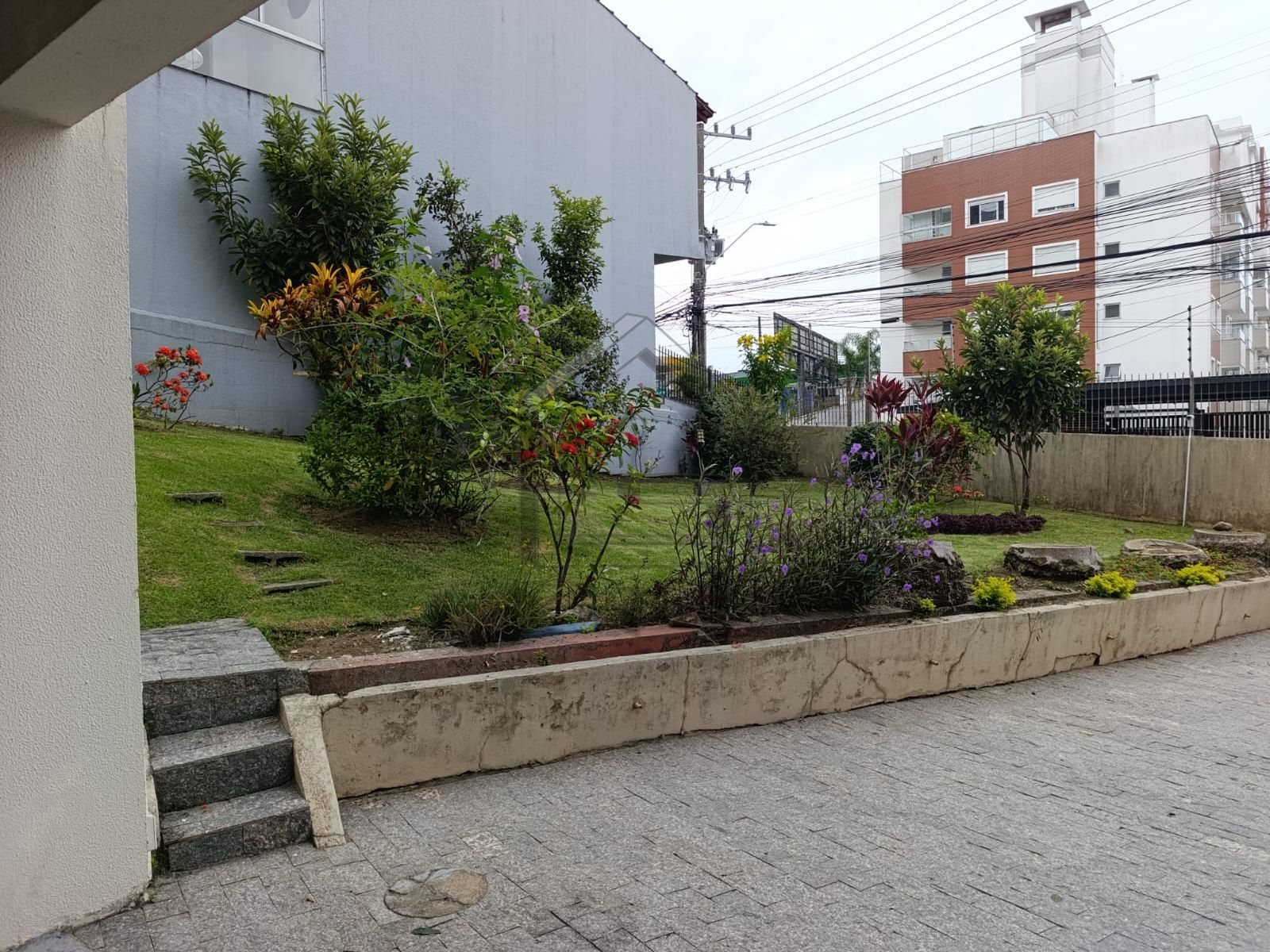 Image D